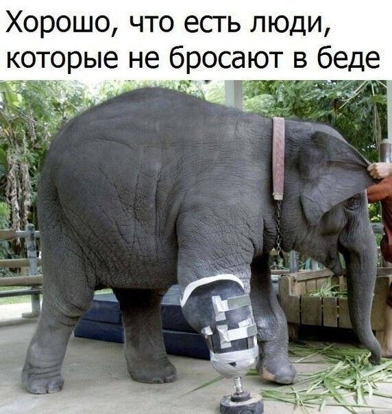 Хорошо что есгь люди которые не бросают в беде ді в 7
