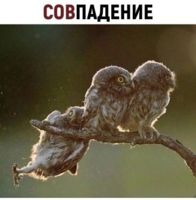 СОВПАДЕНИЕ