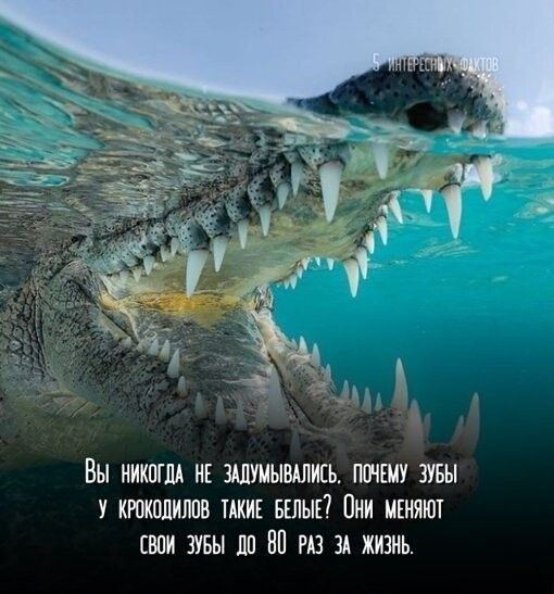 Вы иикппп ик зшиывдпись почту мы у кюколиппе шик вклык Оии мкняют сваи ивы пп Ш гп зи жизнь