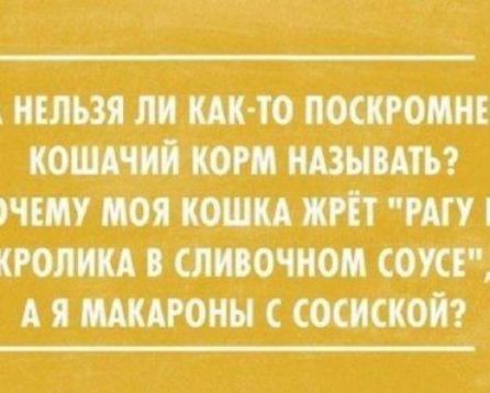 нельзя ли ш то посквомн кошюпиікогм ндзывдтьг нему умоя кошка жгіт ту кголикд в сливочном сош А я щкдроны сосиской