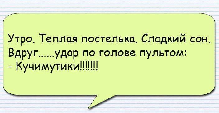 Утро Теплая постелью Сладкий сон вдруГ ______ удар ПО ГОЛОВЕ пультом Кучимутики