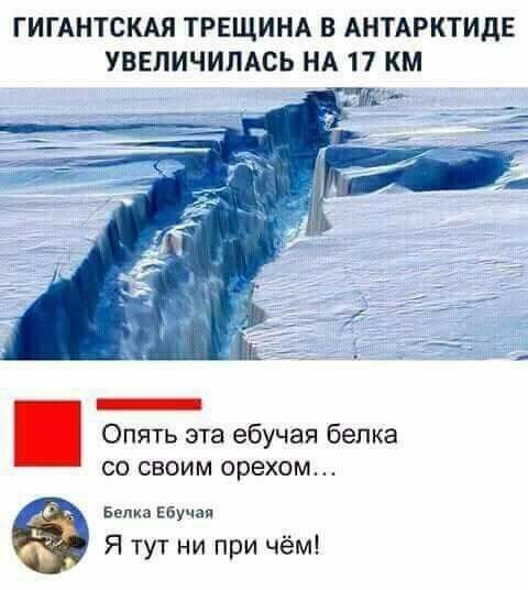 ГИГАНТСКАП ТРЕЩИНА В АНТАРКТИДЕ УВЕЛИЧИПАСЪ НА 17 КМ 1 Опять эта ебучая белка СО СВОИМ орехом Белки Ебучая Я тут ни при чём