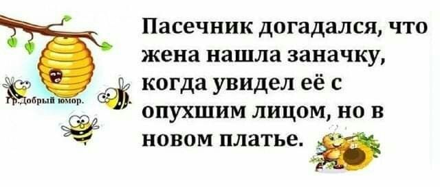 Пасечник догадался что жена нашла заначку когда увидел её с опухшим лицом но в НОВОМ ПЛЗТЬЕ