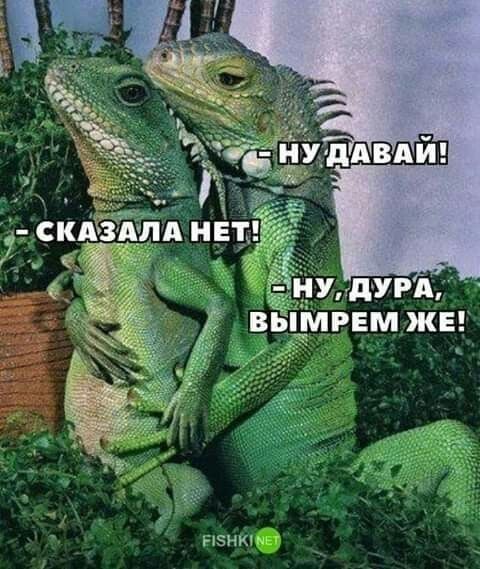 хзнкм