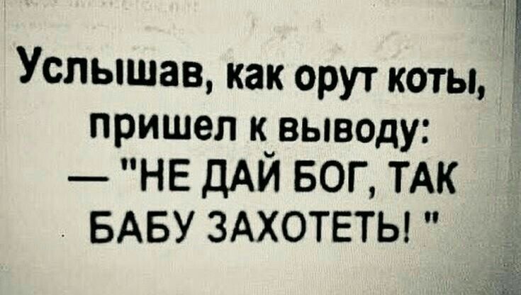 Услышав как орут коты пришел к выводу НЕ ДАЙ БОГ ТАК БАБУ ЗАХОТЕТЫ