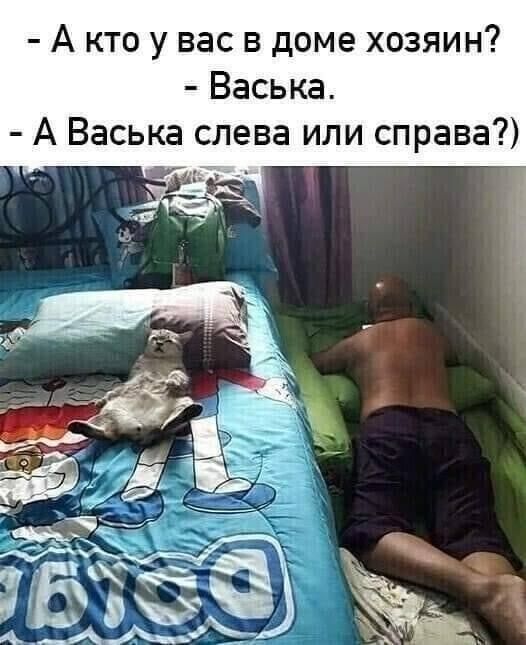 А кто у вас в доме хозяин Васька А Васька слева или справа