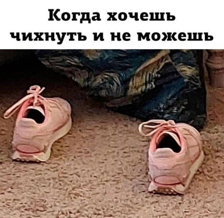 Когда хочешь чихиуть и не можешь л 5