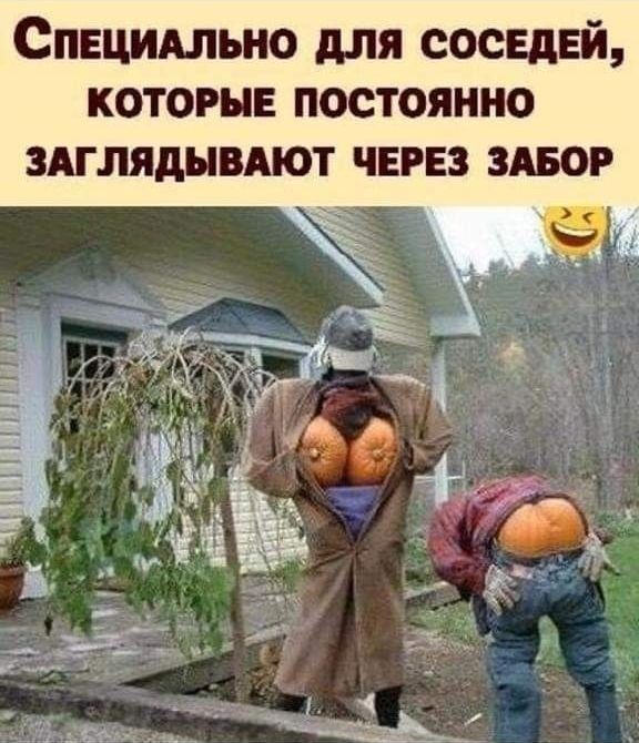 Спицидлыю для соседей КОТОРЫЕ ПОСТОЯННО здглядывдют чвгвз здвор