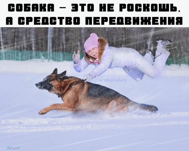 БПБШП ЭТП ИЕ ЛЕОН БРЕПЕТПП ПЕРЕПВИШЕИИП