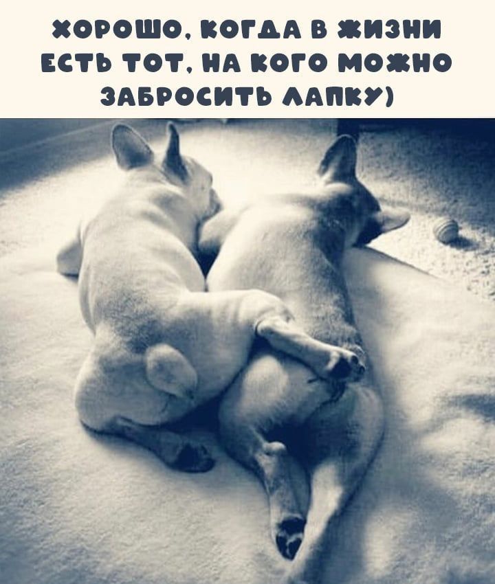 ХОРОШО КОГДА В ИЭПП ЕСТЬ ТОТ А КОГО МОПО ЗАБРОСИТЪ ААПВУ
