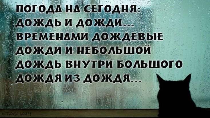 огодд иддсуодияд ядь и дожди