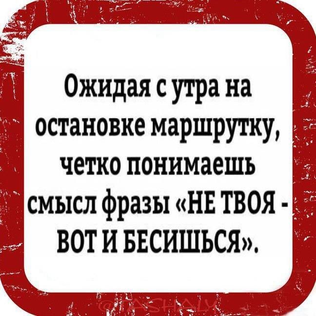 Ожидая с утра на остановке маршрутку четко понимаешь смысл фразы НЕ ТВОЯ ВОТ И БЕСИШЬСЯ