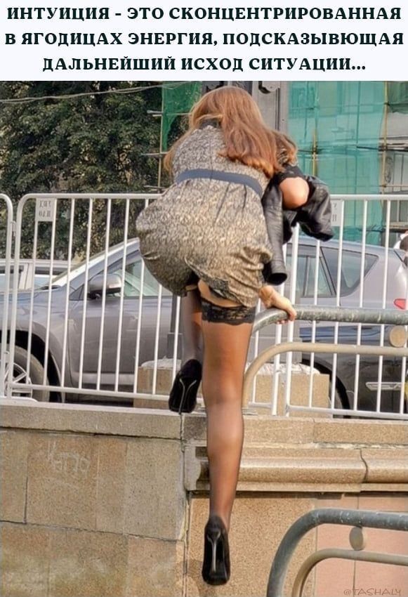 ИНТУИЦИЯ ЭТО СКОНЦЕНТРИРОВАННАЯ В ЯГОЛИЦАХ ЭНЕРГИЯ ПОПСКАЗЫВЮЩАЯ ПАЛЬНЕЙШИЙ ИСХОП СИТУАЦИИ