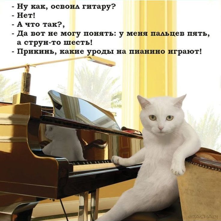 _ ну как освом гитару _ нет А что их _ да вот не могу понять у меня пшпея пять а струн то шесть Прикинь инки уроды на пишипо играют да