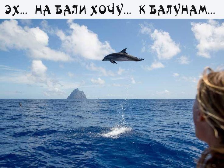 335 _нА БАЛИ хочу к БАЛУНАМ