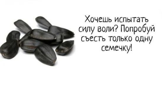 Хочешь испытать силу воли Попробуй съесть только одну семечку