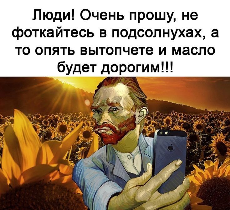 Люди Очень прошу не фоткайтесь в подсолнухах а то опять вытопчете и масло будет дорогим