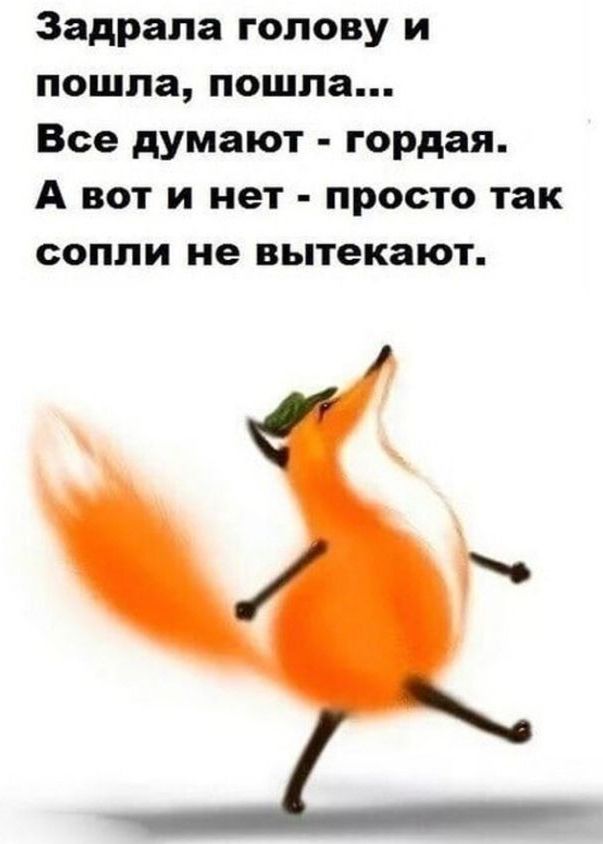 Задрапа голову и пошла пошла Все думают гордая А вот и нет просто так сопли не вытекают