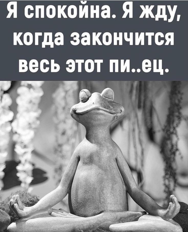 Я спокойна Я жду когда закончится весь этот пиец