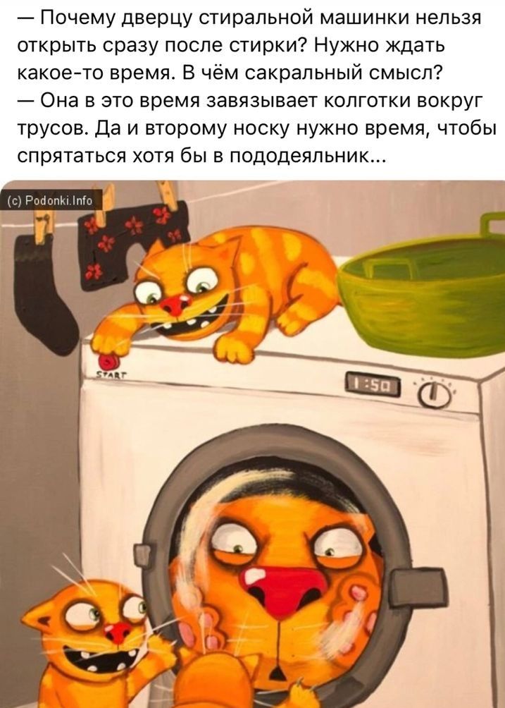 Почему дверцу стиральной машинки нельзя открыть сразу после стирки Нужно ждать какое то время В чём сакральный смысл Она в это время завязывает колготки вокруг трусов да и второму носку нужно время чтобы спрятаться хотя бы в пододеяльник