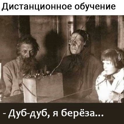 Дистанционное обучение я 1 З і Дуб дуб я берёза