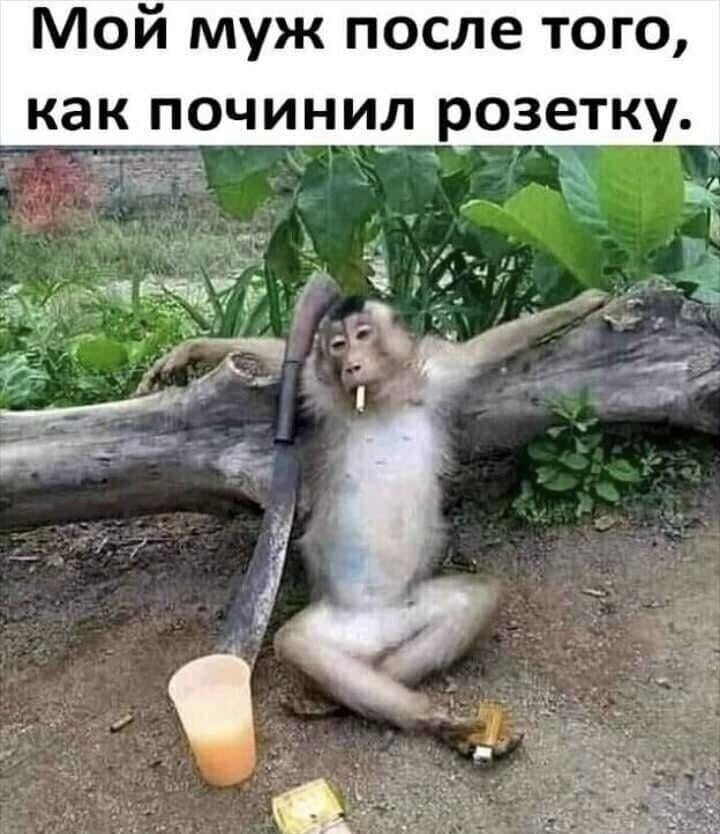 Мой муж после того как почини_л розетку т г __4