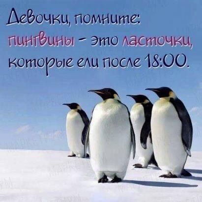 АеРючкц помните пыийшны это Аасточкц которые мы ПОСг 18100 12