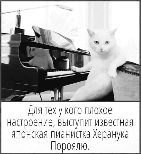 Для тех у кото плохое настроение выступит известная японская пианистка Херанука Поронпю