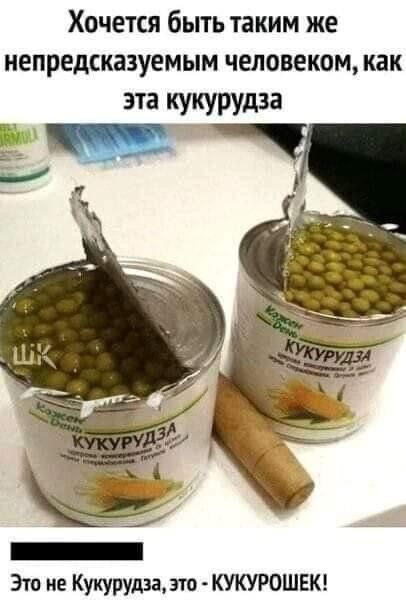 Хочется бьпь таким же непредсказуемым человеком как эта кукурудза _ Это не шурупа зто КУКУРОШЕК