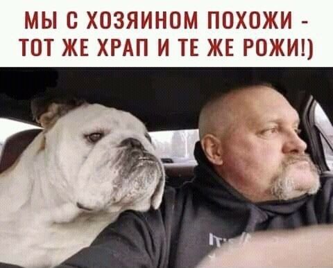 МЫ В ХОЗЯИНОМ ПОХОЖИ ТОТ ЖЕ ХРАП И ТЕ ЖЕ РОЖИ