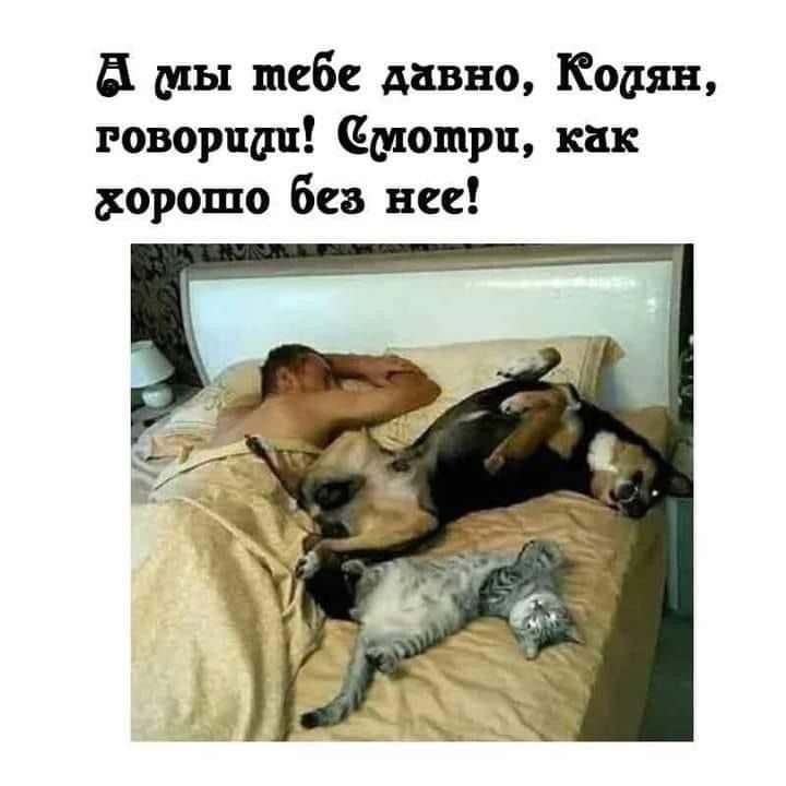 а мы тебе давно Кошки говорит смотри нк вороша без нее