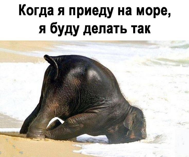 Когда я приеду на море я буду делать так