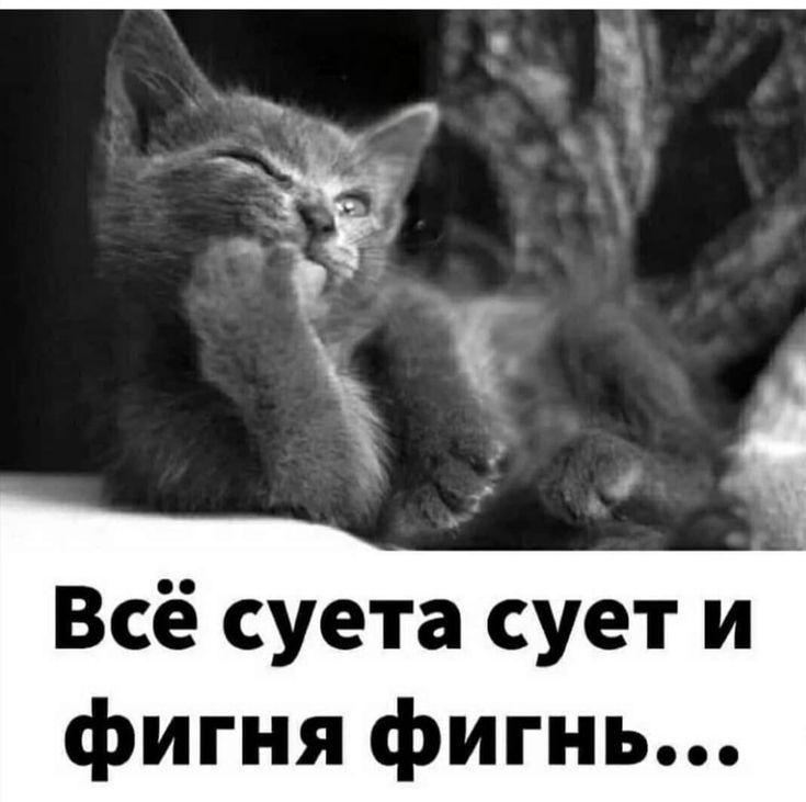 _ _ ъ Т Всё суета сует и фигня фигнь