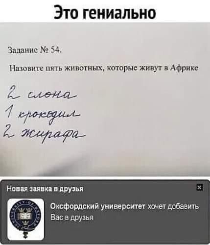 Это гениально Залиты 5 1 Нзювптч пят жнитиых кторыс живут в Африке п 4 2 Оксфордский университет хоча добавить Вас в друзья