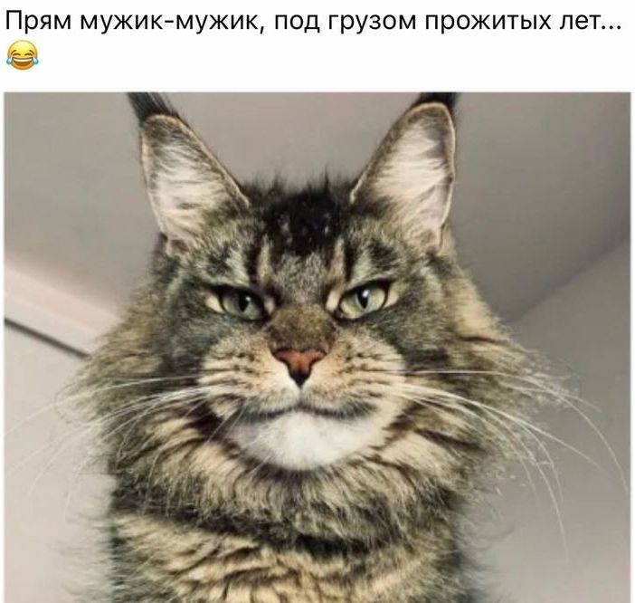 Прим мужик мужик под грузом прожитых пет