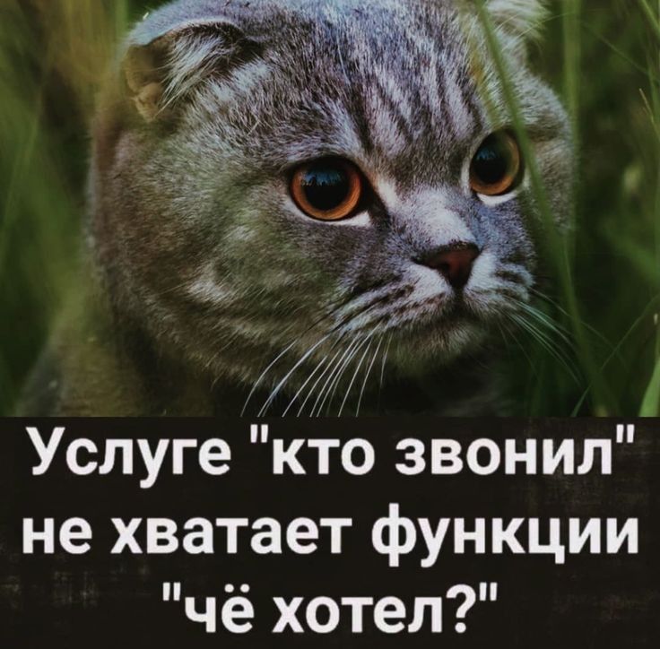 дж Услуге кто звонил не хватает функции чё хотел