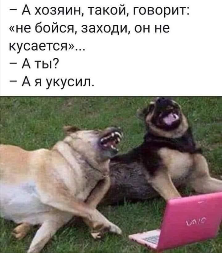 А хозяин такой говорит не бойся заходи он не кусается А ты А я укусил