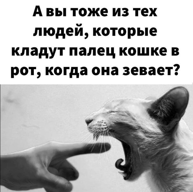 Порно видео Одну девушку толпой в рот. Смотреть Одну девушку толпой в рот онлайн