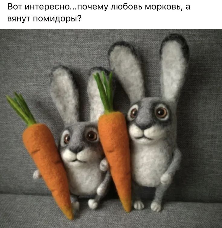 Вот интересн вянут помидор почему любовь марковь а