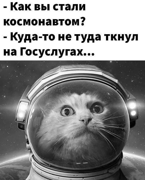 Как вы стали космонавтом Куда то не туда ткнул на Госуслугах