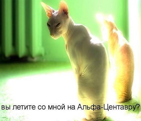 вы летите со мной на Аль