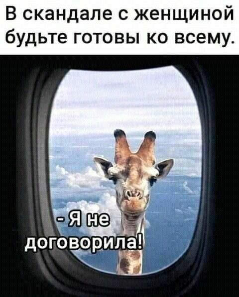 В скандале с женщиной будьте готовы ко всему_