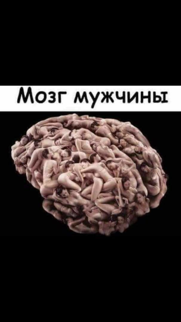 Мозг мужчины