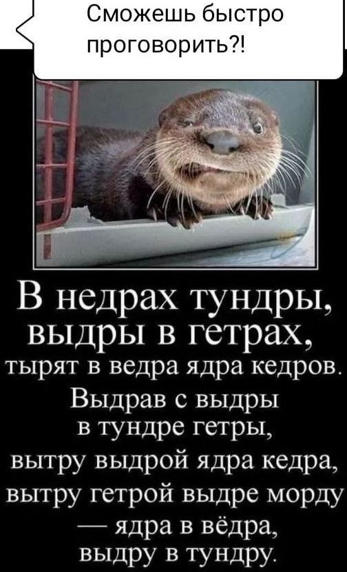 В недрах тундры ВЫДрЫ В гетрах тырят в ведра ядра кедров Выдрав с выдры в тундре гетры вытру выдрой ядра кедра вытру гетрой выдре морду ядра в вёдра выдру в тундру