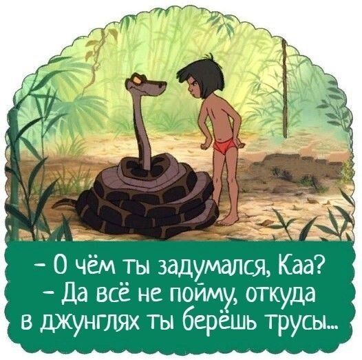 31 О чём ты задумался Каа Да всё не пойму откуда в джунглях ты берёшь трусы