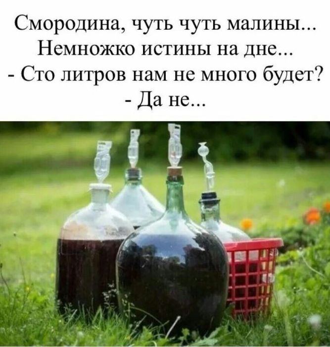 Смородина ЧУТЬ ЧУТЬ МЗЛИНЫ Немножко истины на дне Сто литров нам не много будет
