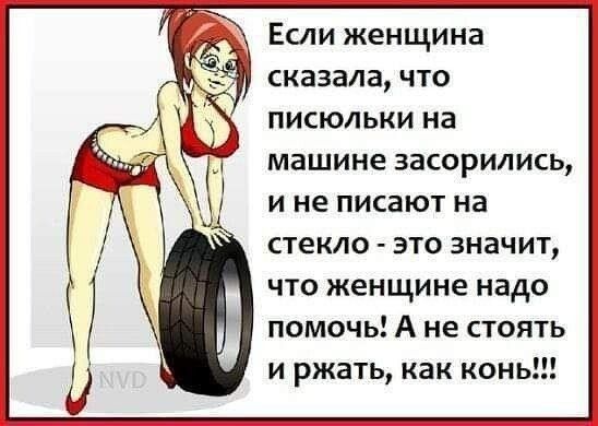 Если женщина сказала что писюльки на машине засорились И не писают на стекло это значит ЧТО ЖЕНЩИНЕ надо помочь А не стоять и ржать как конь