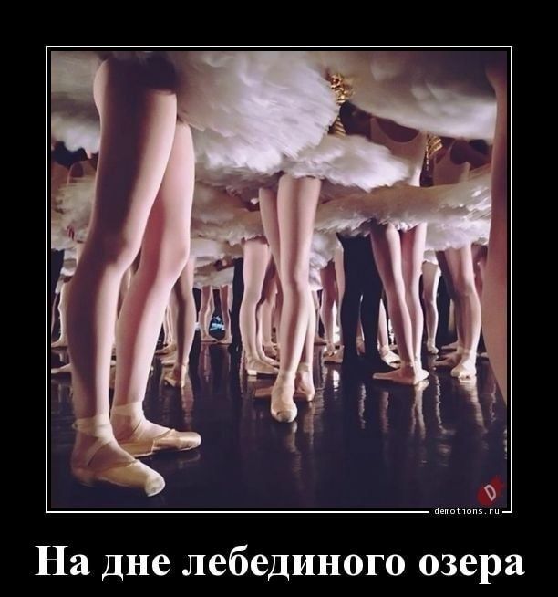 На дне лебединого озера