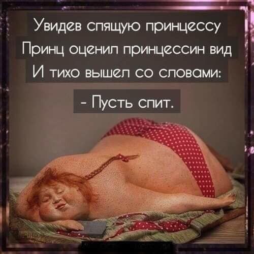 х Увидев спящую принцессу Принц оценил принцессин вид И тихо вышел со словами _1 Пусть спит