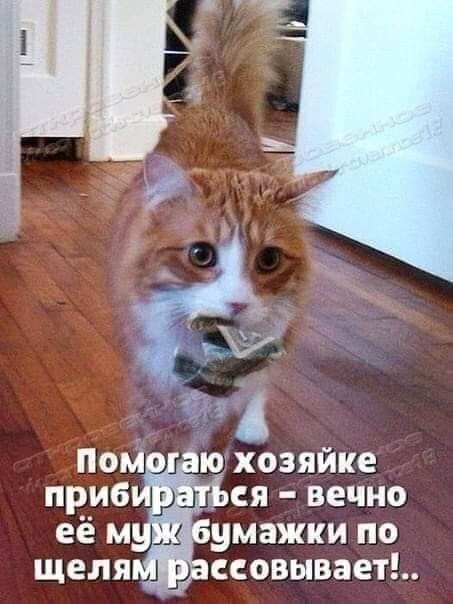 ПОМ О хозяйке ПРИб СЯ ВЕЧНО её м умажки по щеля ссовывает